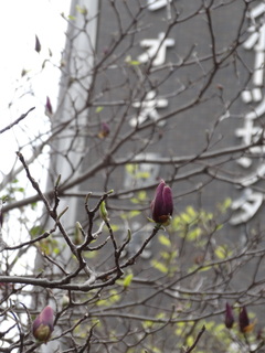 DSC00247.JPG