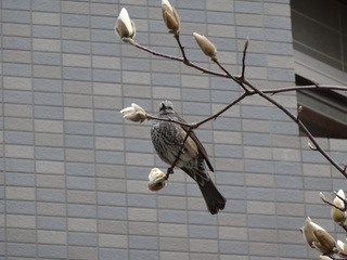 DSC00682.JPG