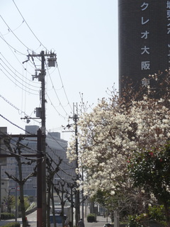 DSC00702.JPG
