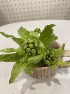 IMG_3991.jpeg