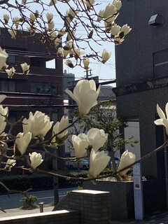 IMG_4026.jpeg
