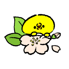 sakura-to-piyo.png
